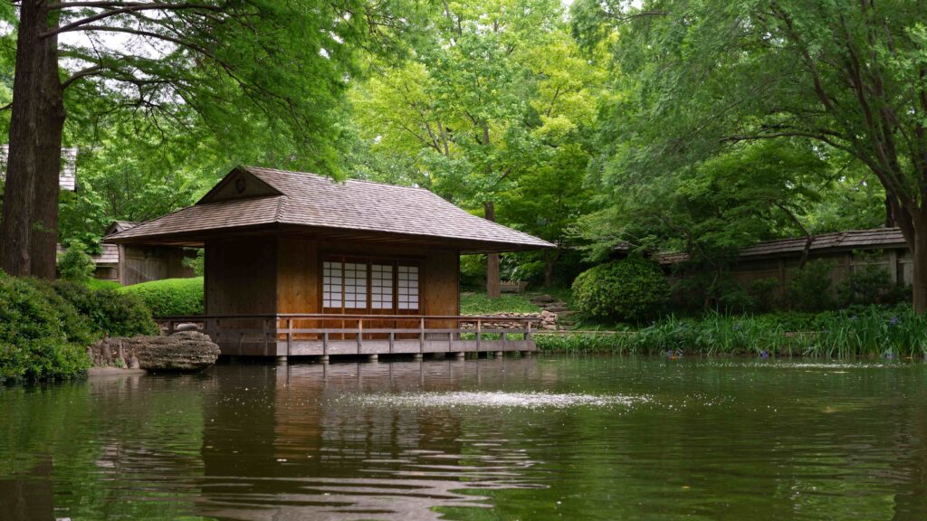 Cabane mystérieuse bordée d'eau en pleine forêt dans le catalogue d'Accueil Insolite PACA