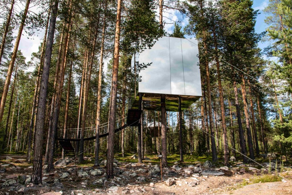 Cabane moderne dans les bois d'Accueil Insolite PACA